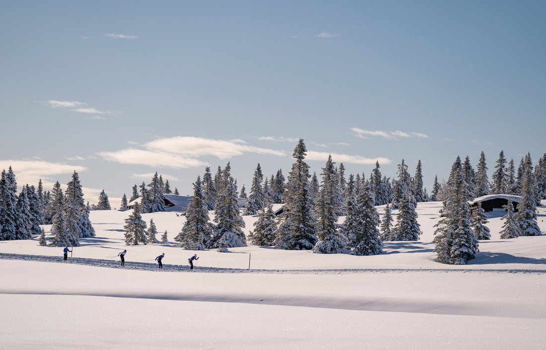 Utförsäljning av årets längdsortiment, 50% rabatt på alla längdartiklar!