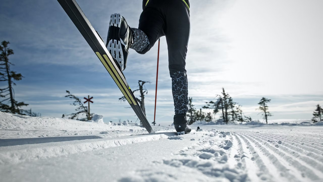 Vilken av Fischer Twin Skin modellerna passar dig?