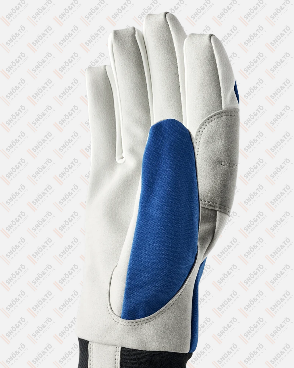 HESTRA XC Tracker - 5 finger, Royal blue - Snö&Tö